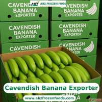 Golden Taste Global Trust Cavendish Banana Exporter
