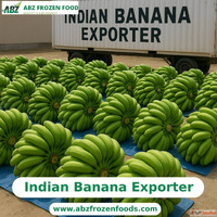 Trust the Source Leading Indian Banana Exporter