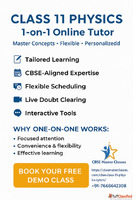 cbse class 11 physics tutor online