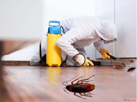 Professional Cockroach Pest Control Near Me - Call VSG Pest Control Today
