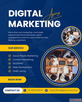 Boost Rankings with Top SEO Services Ghaziabad The Digital Curve