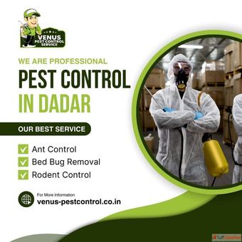 Best Pest Control Services in Dadar - Keep Your Home Safe