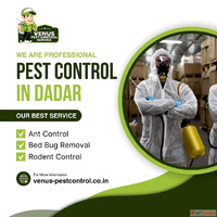 Best Pest Control Services in Dadar - Keep Your Home Safe