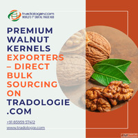 Premium Walnut Kernels Exporters - Direct Bulk Sourcing on T...