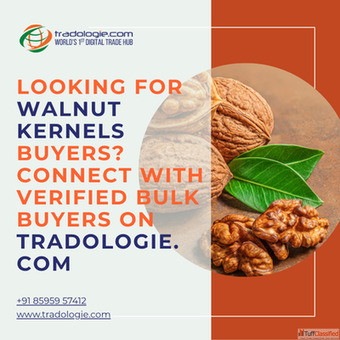 Looking for Walnut Kernels Buyers Connect with Verified Bulk Buyers on Tradologie.com