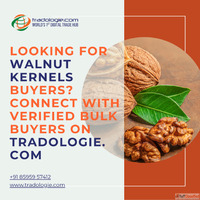Looking for Walnut Kernels Buyers Connect with Verified Bulk...