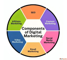 SEO Agency in Noida