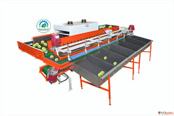 Best Quality Guava Sorting Grading Machine Leading Manufactu...