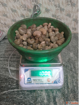 TOP 4 RAW CASHEW NUTS IN JAIPUR 7550251115