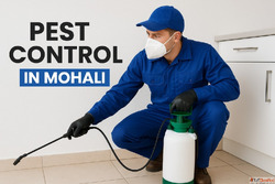 Top Waterproofing Services Near Me Protect Your Property