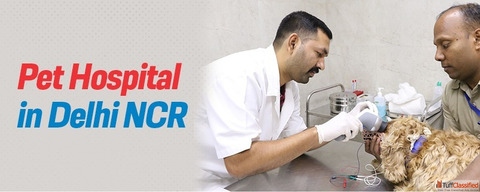 Pet hospital in Delhi NCR