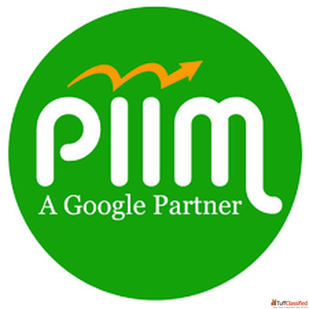 Web Development Course in Patiala Advantage