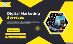 Digital Marketing Services The FuenixMedia