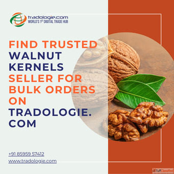 Find Trusted Walnut Kernels Seller for Bulk Orders on Tradologie.com