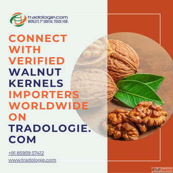Connect with Verified Walnut Kernels Importers Worldwide on Tradologie.com