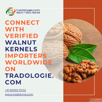 Connect with Verified Walnut Kernels Importers Worldwide on ...