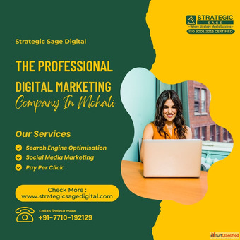 The Professional Digital Marketing Company in Mohali