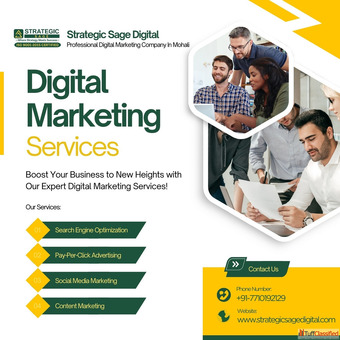 The Professional Digital Marketing Company in Mohali