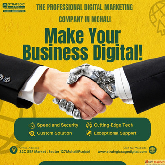 The Professional Digital Marketing Company in Mohali