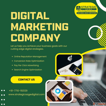 The Professional Digital Marketing Company in Mohali