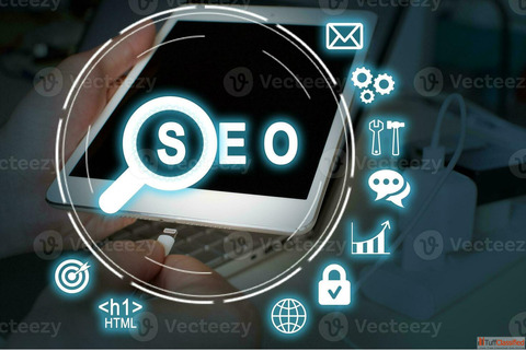 Affordable SEO Agency in Gurgaon Amaytics