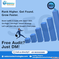 Expert SEO Services - Boost Traffic Leads Google Rankings