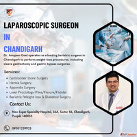 Excellence in Surgery is the top Laparoscopic Surgeon in Cha...