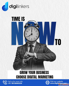 Digital Marketing Agency in Delhi Grow Your Business with Digilinkers
