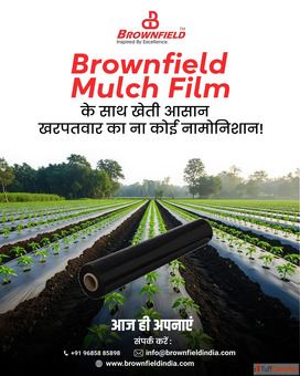 Reliable Mulch Film Manufacturers in Morena - Eco Solutions