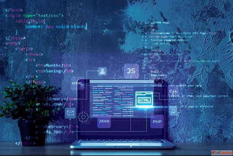 Top Software Development Company in Chandigarh Ellocent Labs