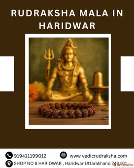 Discover Divine Energy- Your Guide to a Natural Rudraksha Mala in Haridwar