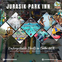 Institutes Unite Over Pools Rides Group Fun