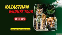 Rajasthan's National Parks A Wildlife Paradise