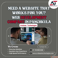 Web Development Company in Panchkula