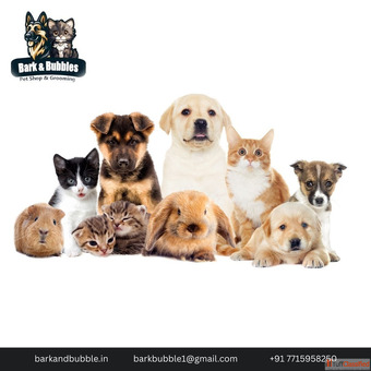 Pet Salon for Small Breeds in Mumbai - Bark and Bubbles