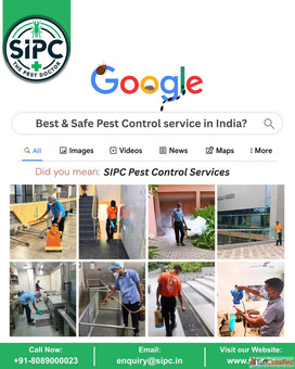 Trusted SIPC Pest Control Services in Bangalore - Safe Effective Solutions
