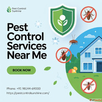 Professional Pest Control Services Near Me for Lasting Prote...