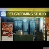 Pet-Grooming Studio