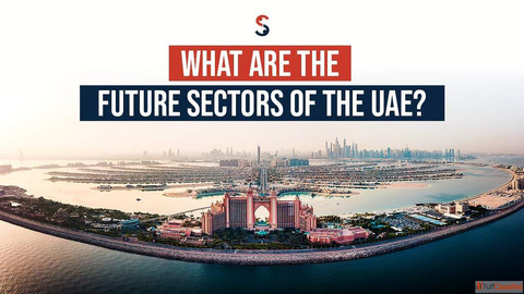 What are the future sectors of the UAE