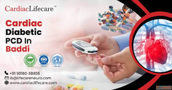 Cardiac Diabetic PCD Pharma Franchise in Baddi