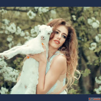Fashion Lamb Latest Fashion Trends Style Inspiration