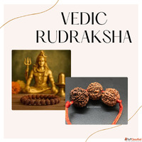 Unlock the Power of the 11 Mukhi Rudraksha in Haridwar- A Gu...