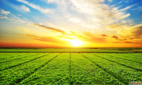 Secure Your Future Professional Land Acquisition Services in Punjab