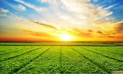 Secure Your Future Professional Land Acquisition Services in...