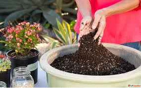 Soil for Plants Online