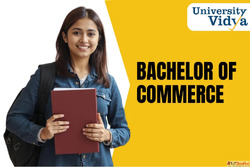 Build Your Commerce Career with an Online B.Com Course