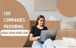 Freelancer Work from Home Job
