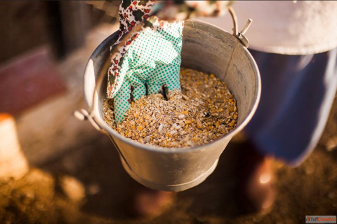 animal feed provider in india