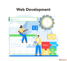Web Development Marketing Experts
