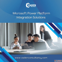 Microsoft Power Platform Integration Solutions - Vaden Consu...